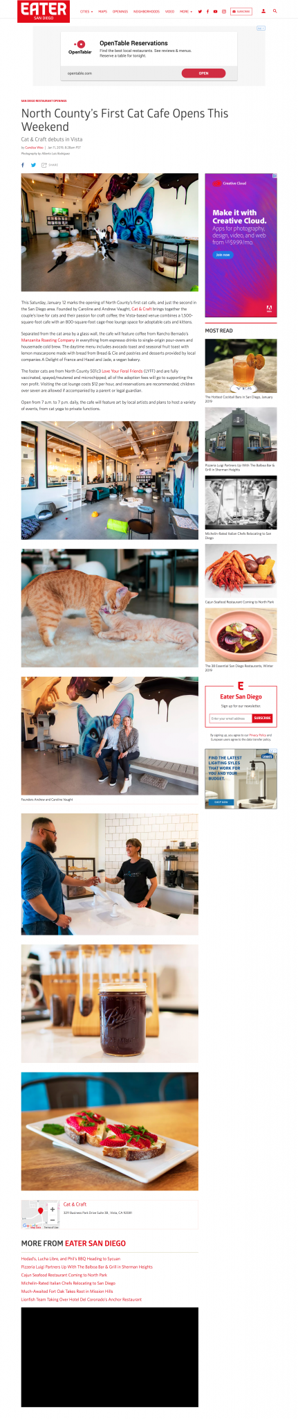 Eater San Diego Cat & Craft feature article